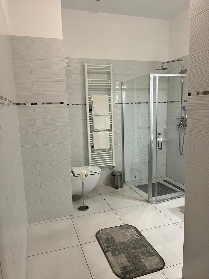Albert Hotel 普洛耶什蒂 外观 照片